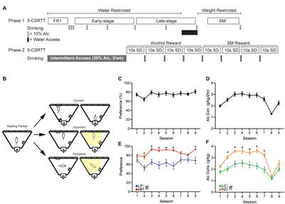 Adaptation of the 5-choice serial reaction time task to measure engagement and motivation for alcohol in mice